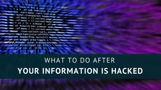 lines of code, image used for Lisa Laporte blog about what to do if your information is hacked